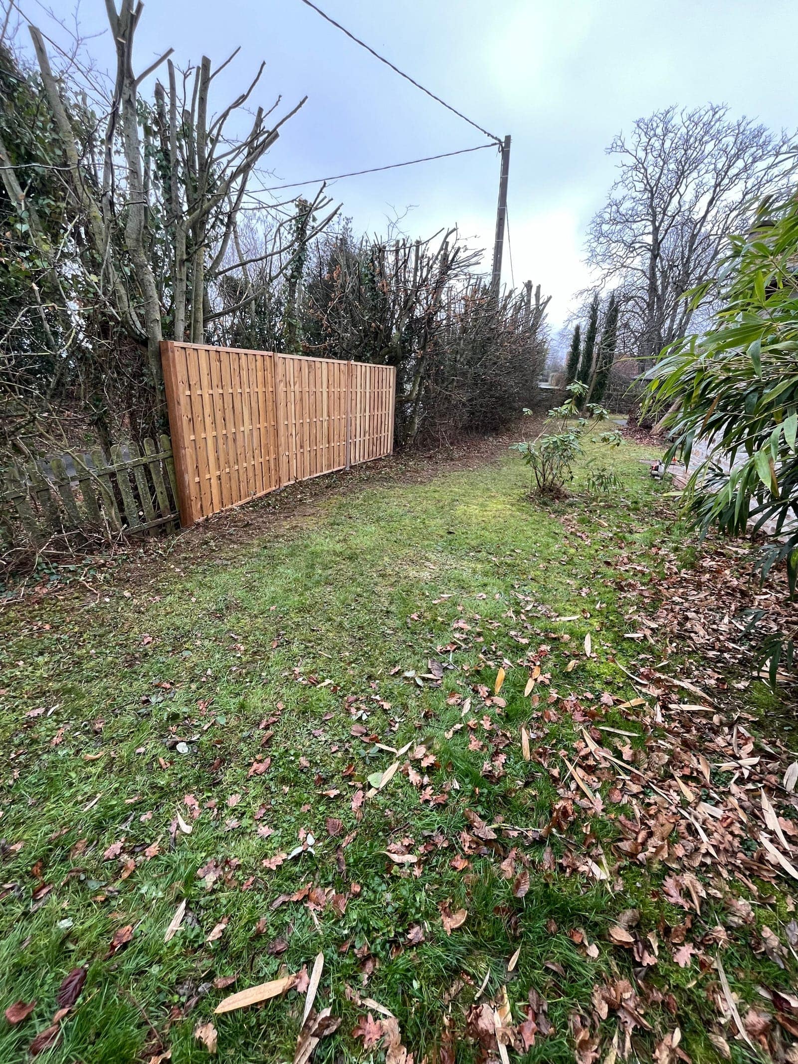 Jardin après pose d’un panneau de clôture en bois, avec des arbres taillés et des feuilles au sol.