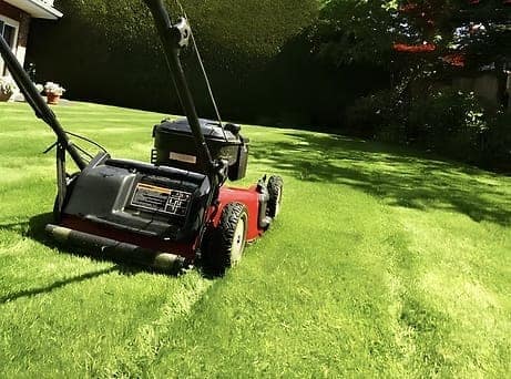 Tondeuse à gazon sur une pelouse verte dans un jardin arboré.