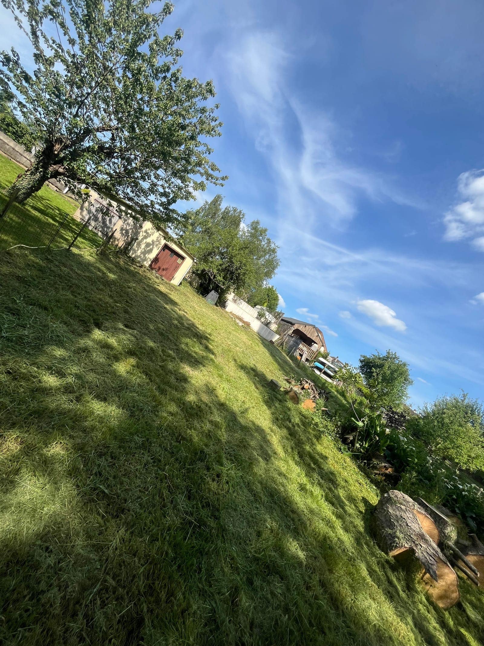 Pelouse en forte pente sous un arbre et un ciel bleu.